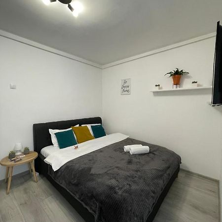 Cozy Studio Apartament Zalău Eksteriør billede