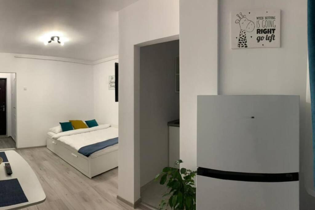 Cozy Studio Apartament Zalău Eksteriør billede